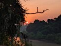 Sonnenaufgang am Gambia Fluß